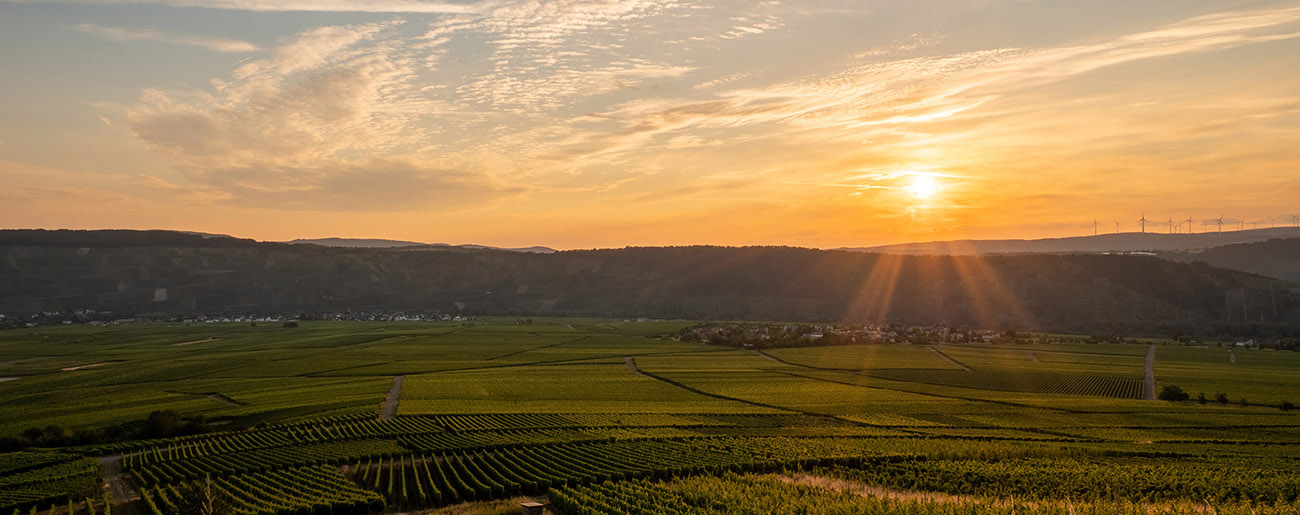 header_weingut_03